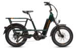 RadRunner™ Max Electric Cargo Utility Bike For Sale